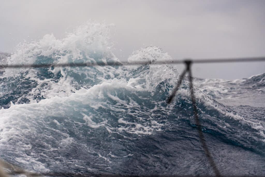 TORE_02_02_250828_RIM_BWP_EDITED-00447